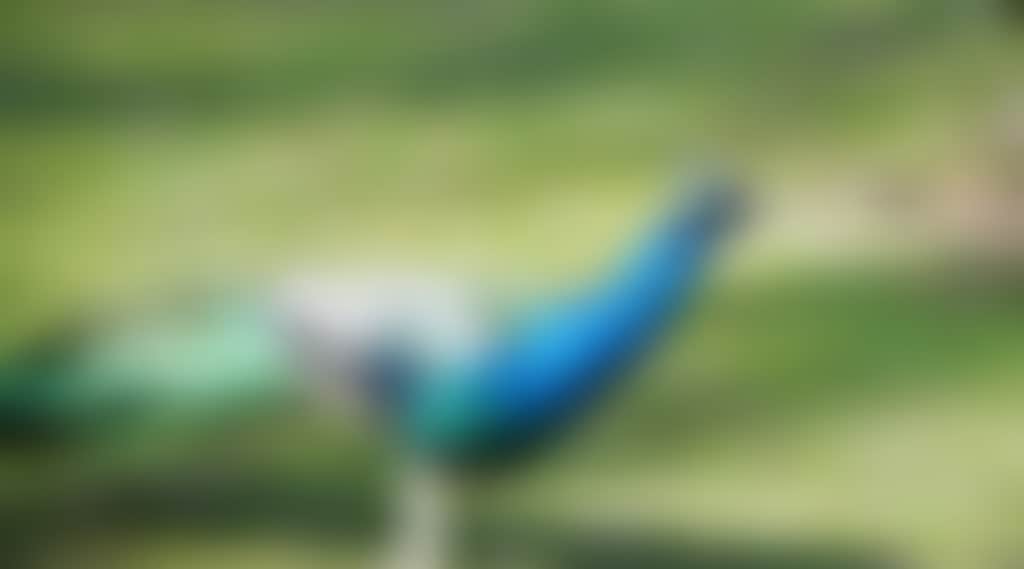 Af417C6Aadb7E6Bcee1341F85F910E08