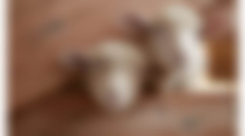 A50D529Ef8Fdd6B8468Bda238F8Bfbfd_2400Gfa_99Qfuyn