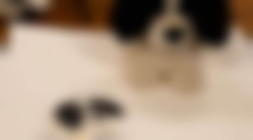 25Bc5B8Ef1C0A4D9B6Da94E919Dd8339