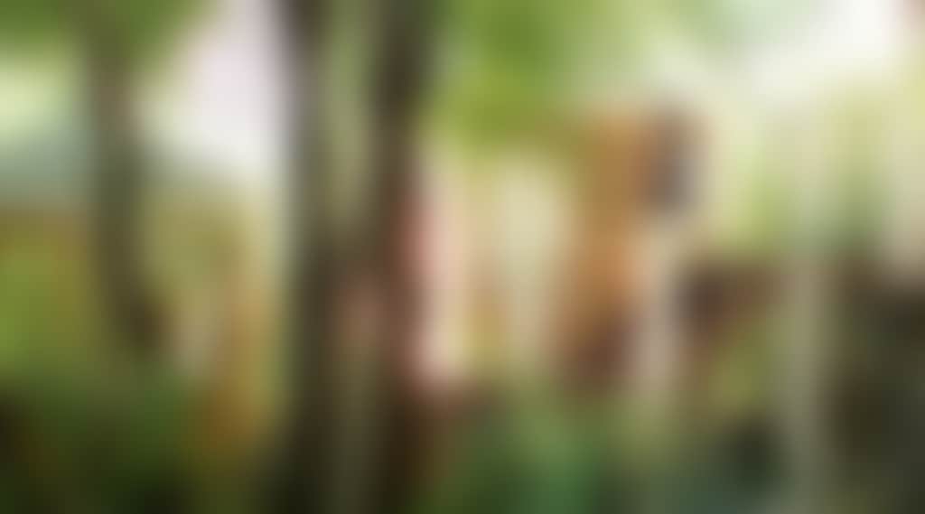 Original__9752305_Ai20_Salus_Spa_At_Lake_House_Y4C4Zvz