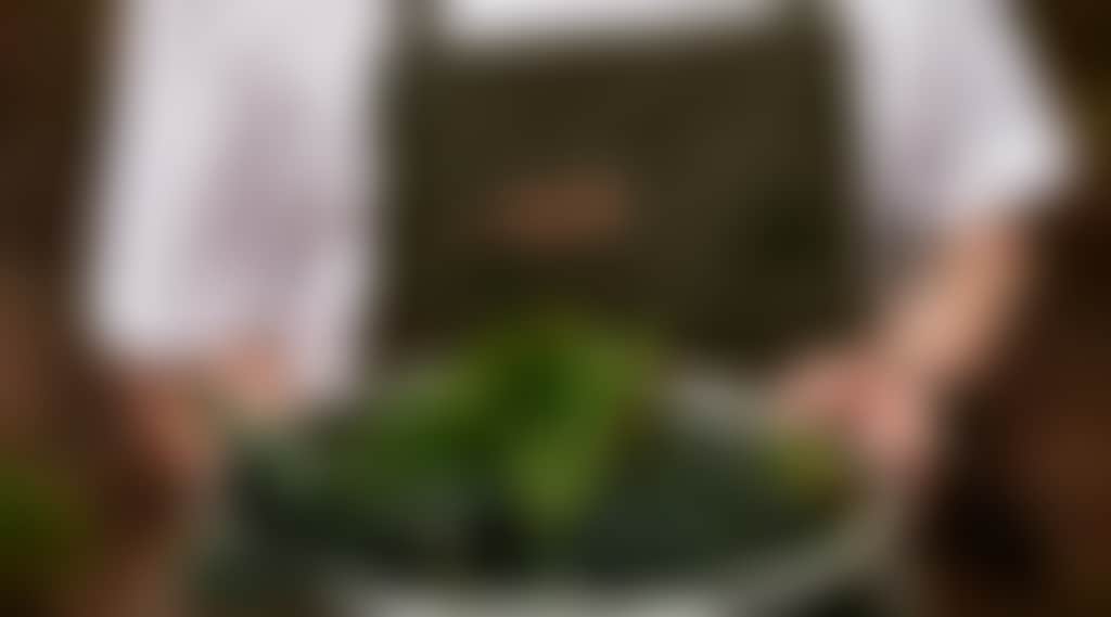 847425502B23318D03520432D8C6027E