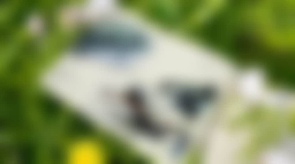 69C9118C5C82A1F48F5481F1347Fb439
