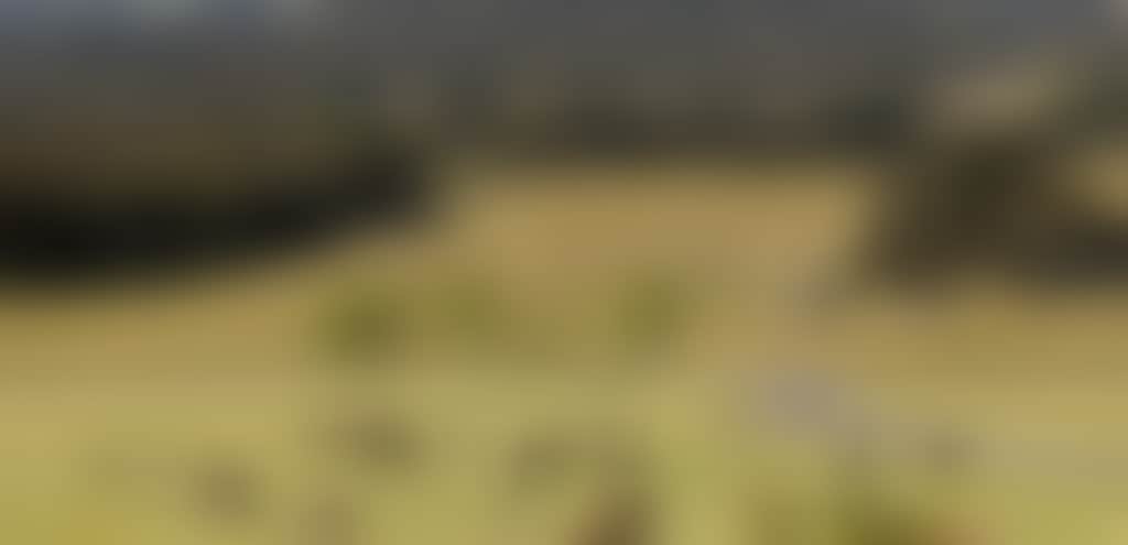 812465E7461Fe4E6D3C7Ce5266935Cc9