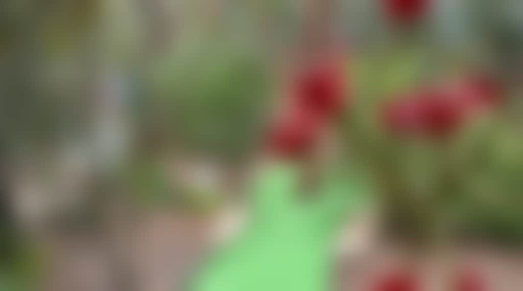 509B9Eda2Fd288Fe604Bf3A8Dec41E69