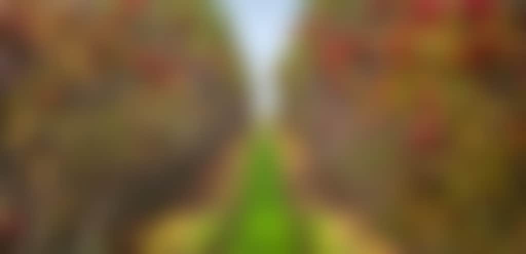 407Ab1F0Bc8Ea64295210E8Da2D2C967