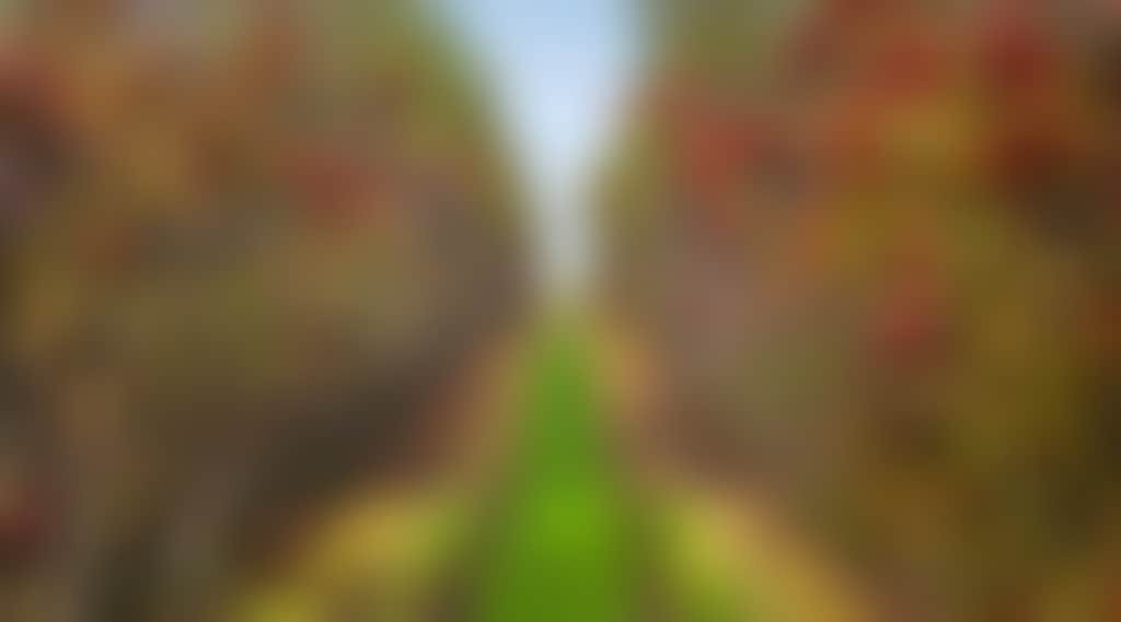 407Ab1F0Bc8Ea64295210E8Da2D2C967