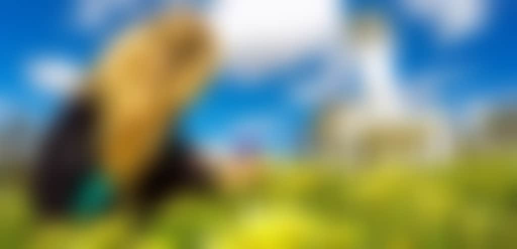 B9644602239D0E3D836583B19B3E84Cd