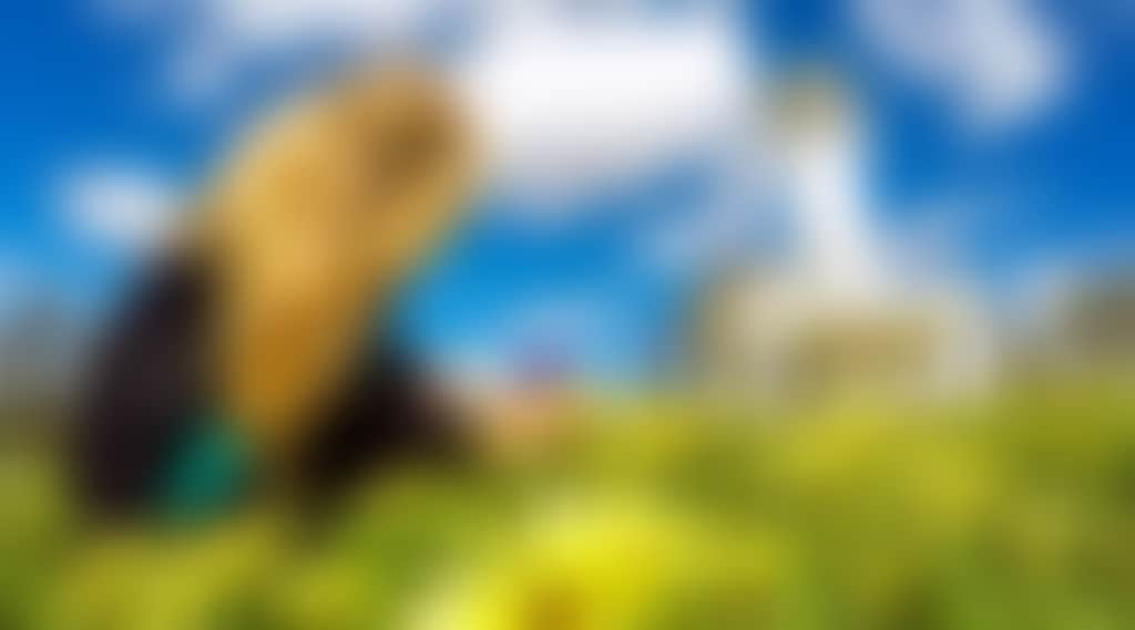 B9644602239D0E3D836583B19B3E84Cd