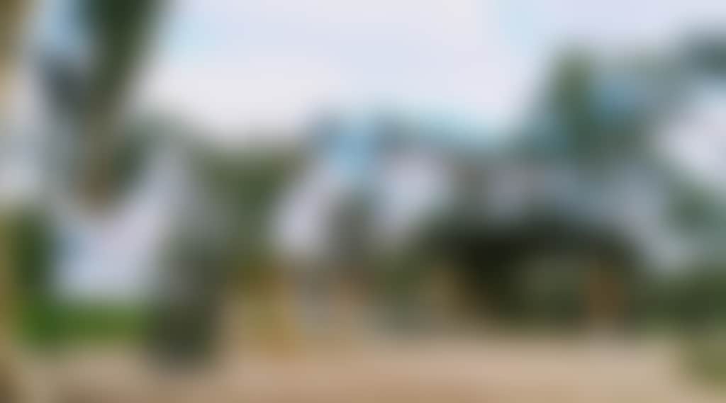 B04A589Bd26F30A5070Ea61Aba125D21