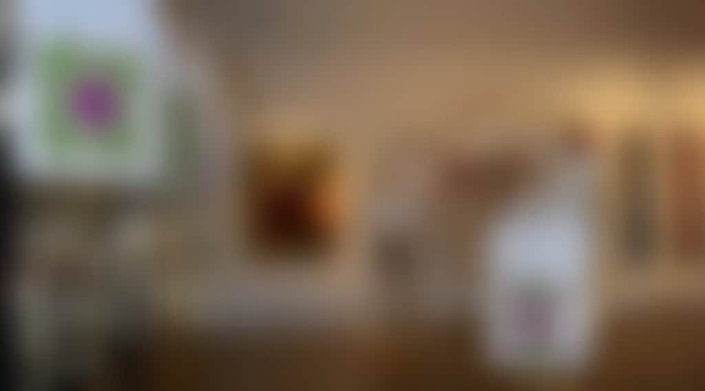 9E253Bdac59Be1B9D46Df186A62D8648