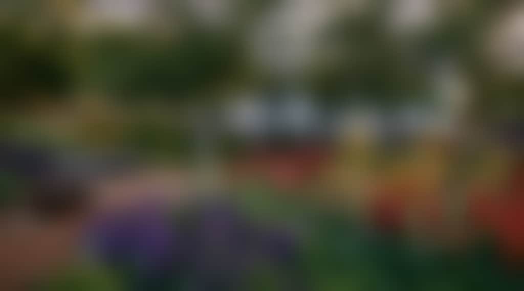5961703F345995246Ab75F2F3036Abc0