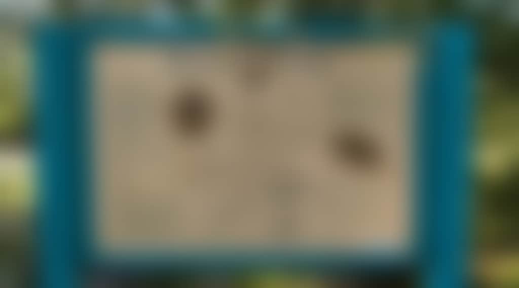 F83Cfb1F212C840813457Bf4E9C5D351