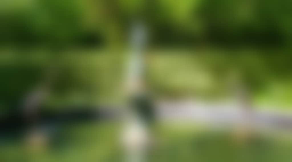 8C9B6C01C2E71E4Aab0062F12Bcbdf6F