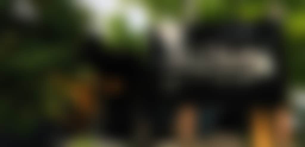 353419996E3A39B1F4Dbda576365705F