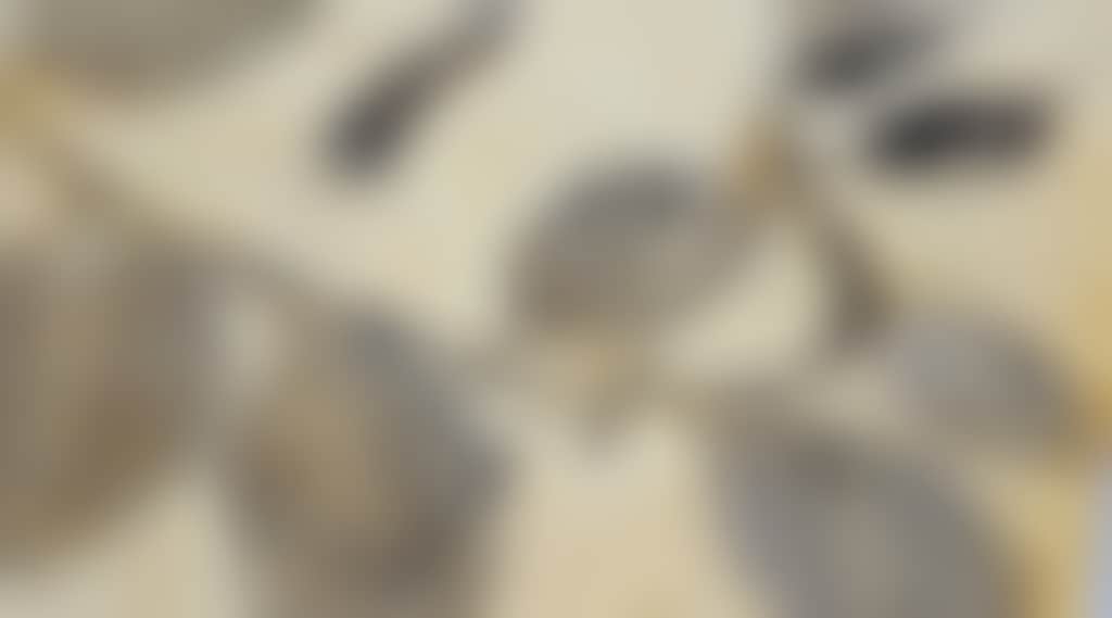 A3F7958678388910A07Cd57E0B6Dc9B1