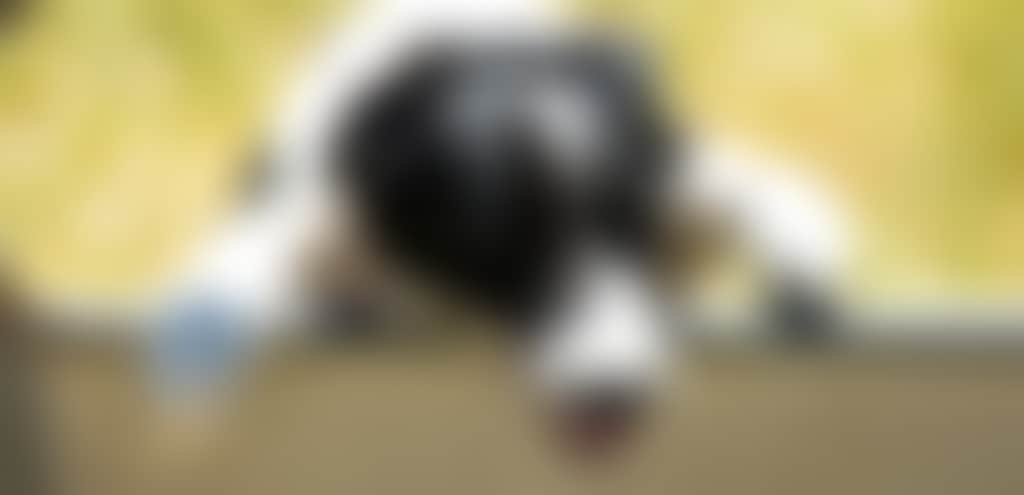 Ffab429B1C7164De0E57860Ceabced5F_Jk939Lt