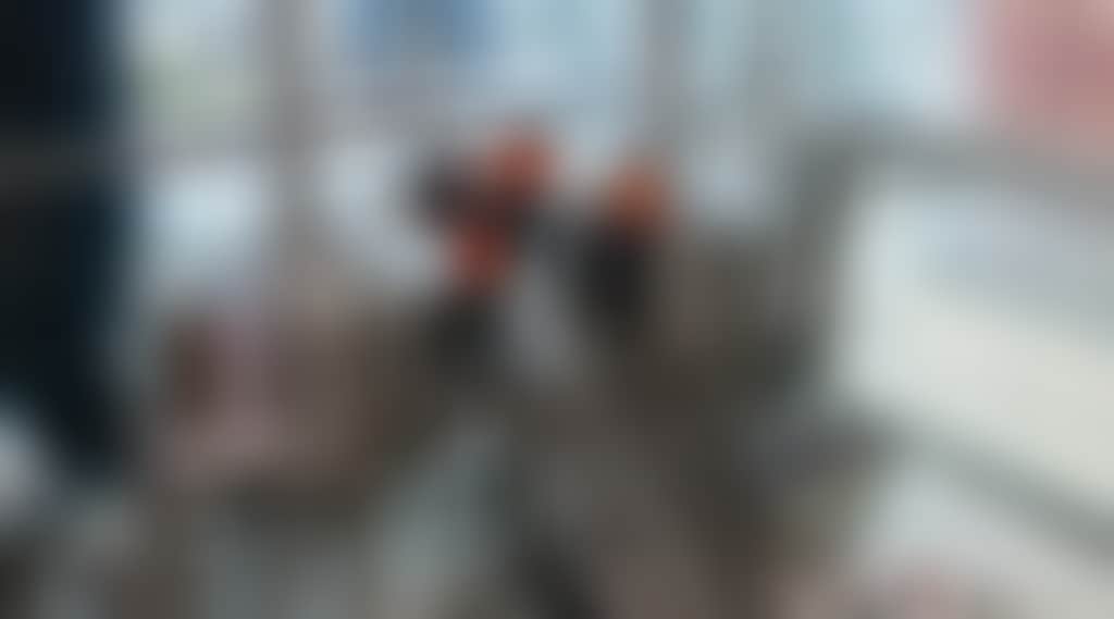 776E0A6D8C3E6B20547C6532C8759Bbe