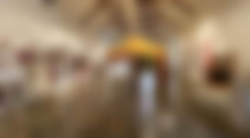 3729459B662C1Bf11Ff304993A24506A