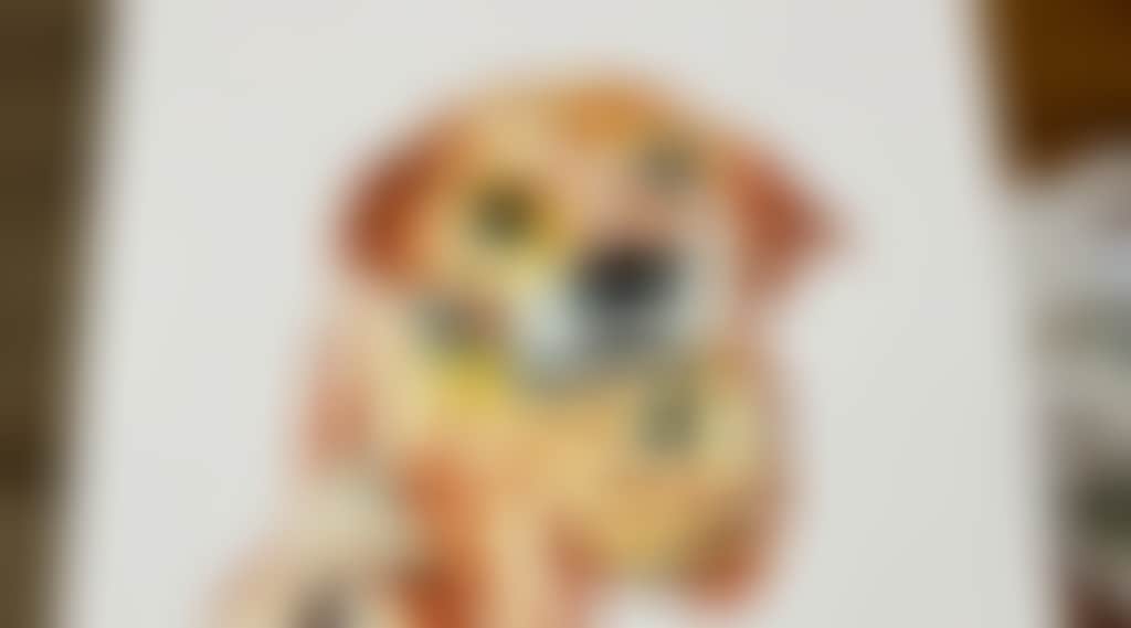 4C3296Ce95F332B2514D3D3E1Fb72A9E