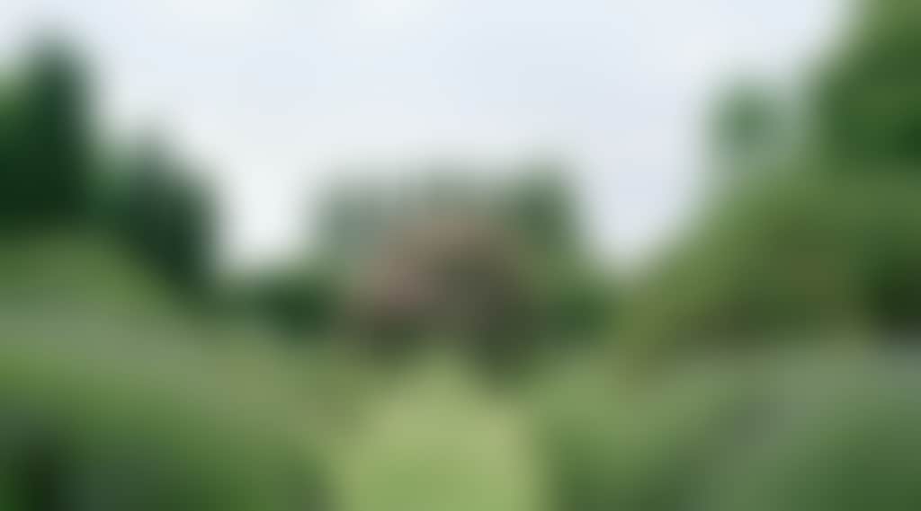 C9510E1D72361E0A76670993D85B2Af1