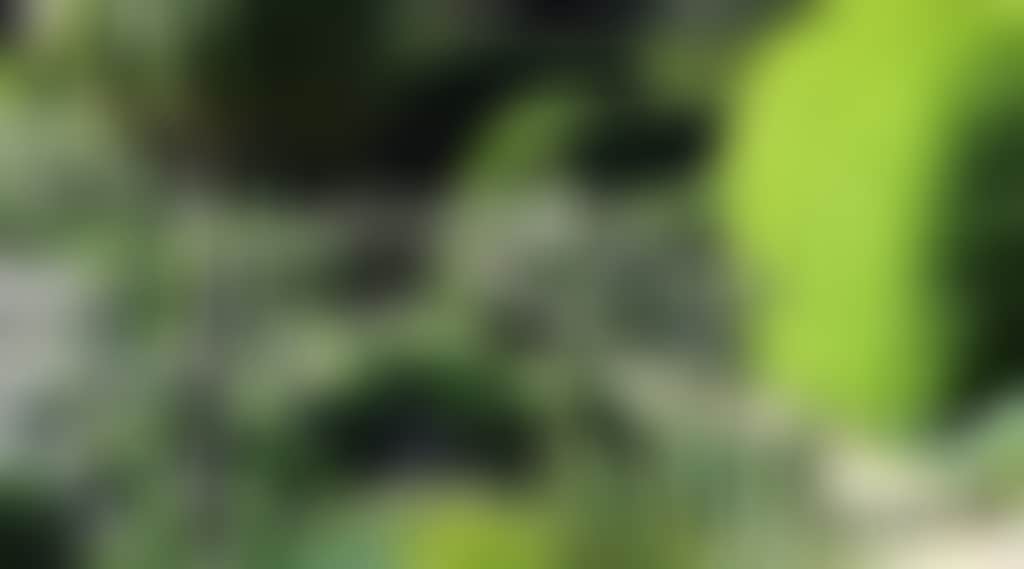 Fb951E7128213E411D108B23E000775B_Rkla6Mm_5Uahnui