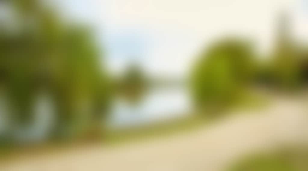 E684F131E8E504Bacf9B850E181C8Ad5