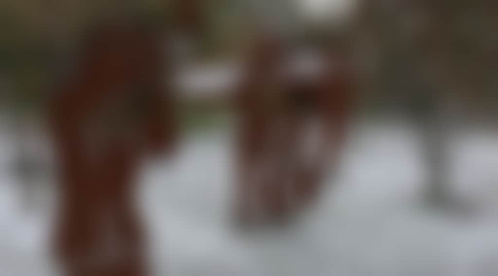 63D5F4D881Abfca07896711C2C1256Bc