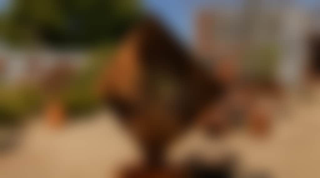 E0385986D05Ebe81D5Df70B0D7E0Fd09