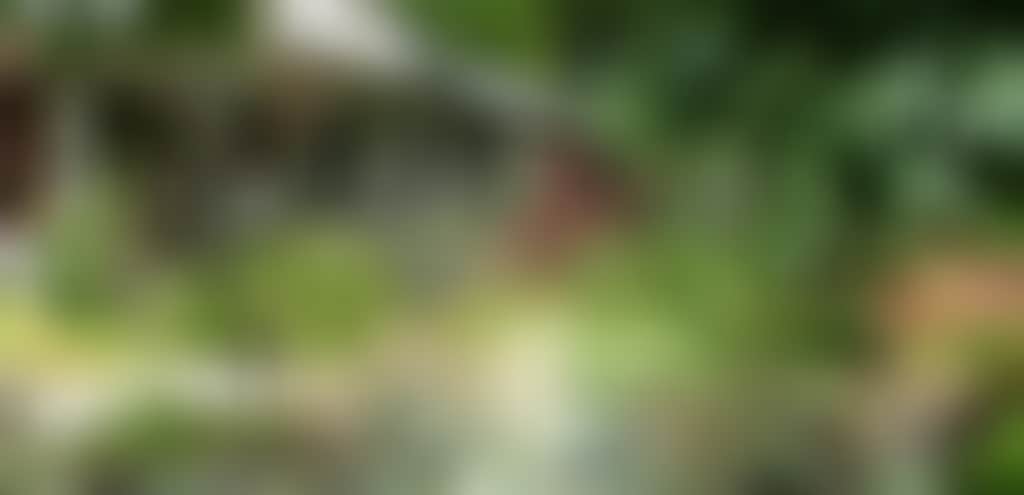 Original__9046331_Ay45_13_Shizuka_Amongst_The_Flourishing_Gardens_Ht8M5R8