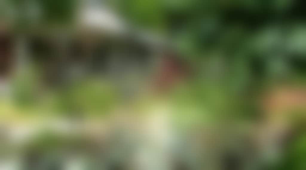 Original__9046331_Ay45_13_Shizuka_Amongst_The_Flourishing_Gardens_Ht8M5R8