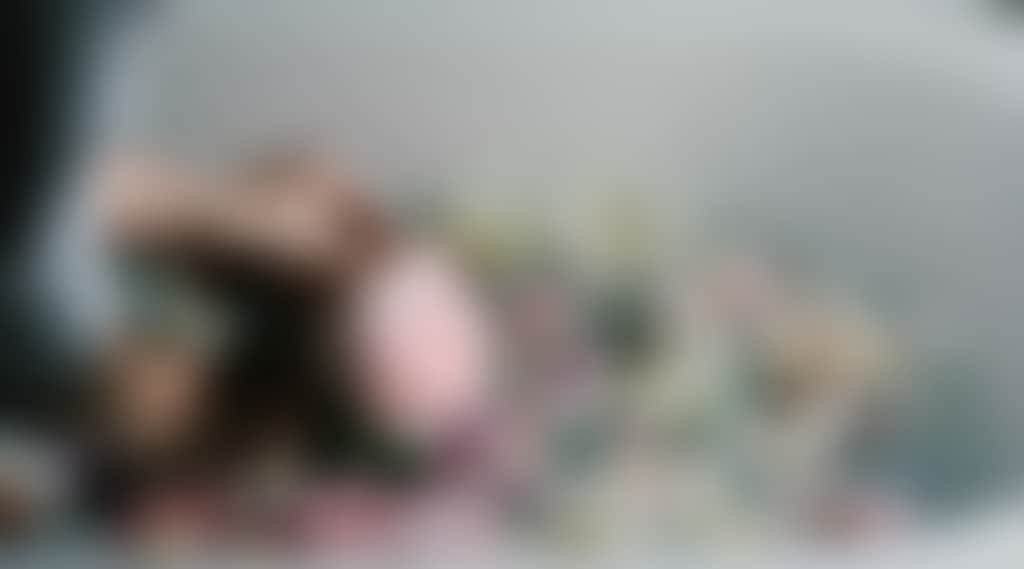 1D25A698E2B53570A1396938Cfe50De8