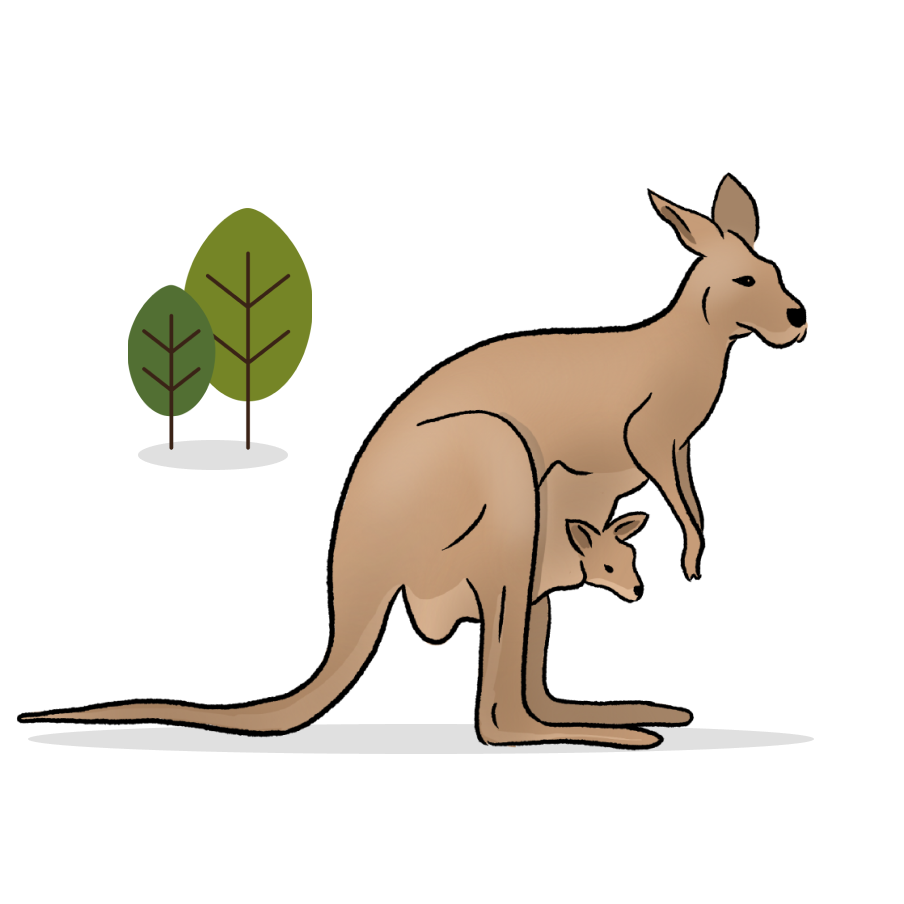 Illustrated image of kangaroo