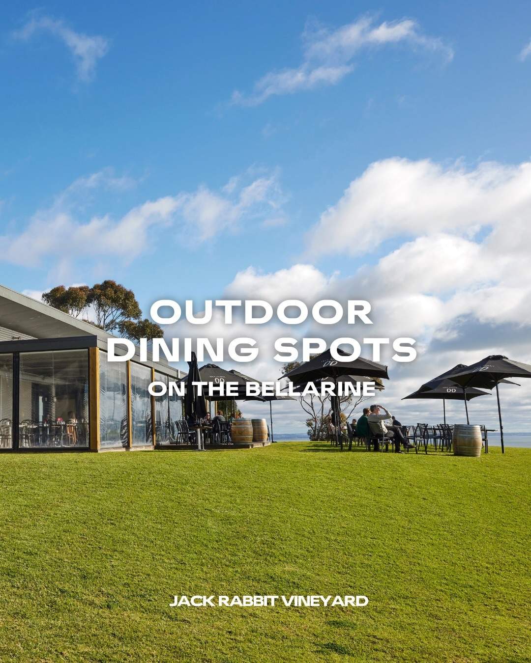 visitgeelongbellarine