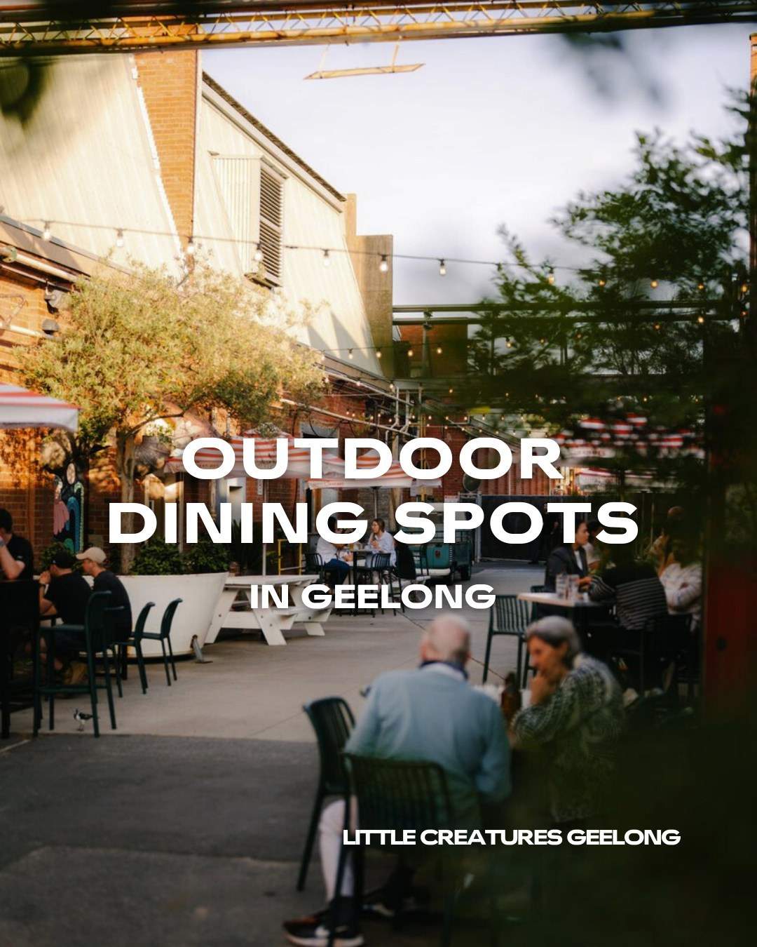 visitgeelongbellarine