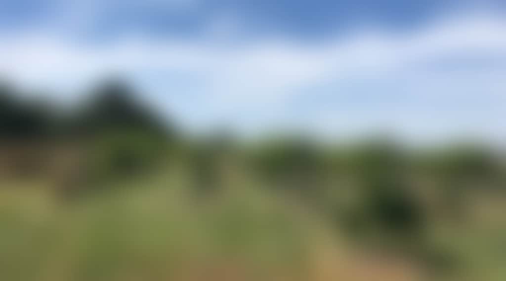 Kisaan Estate Winery, Barwon Heads