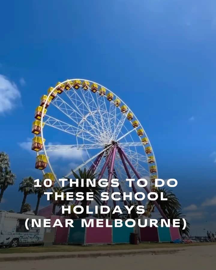 visitgeelongbellarine