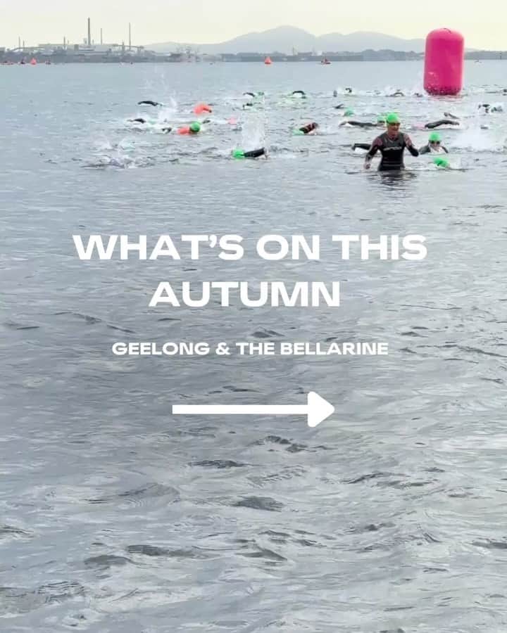 visitgeelongbellarine