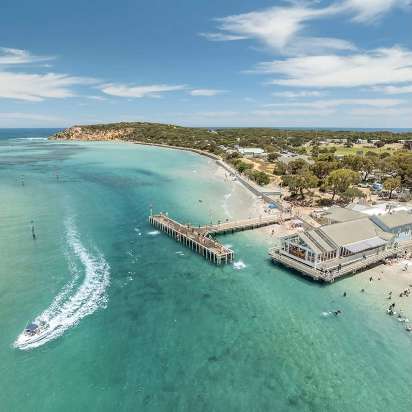 visitgeelongbellarine