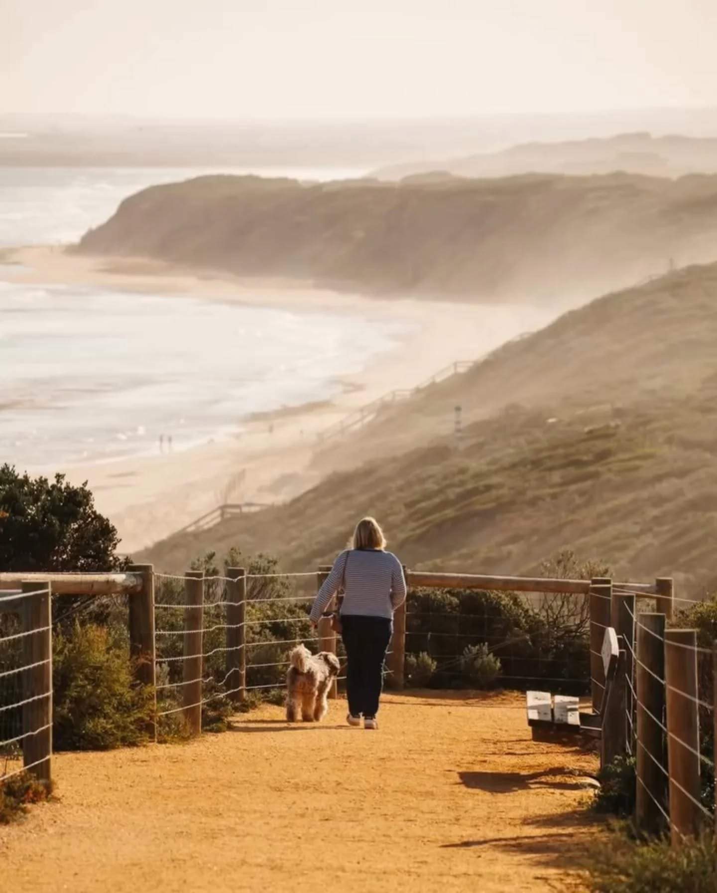 visitgeelongbellarine