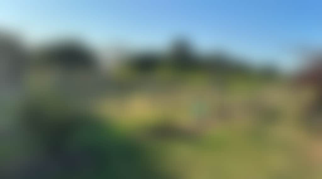 Kisaan Estate Winery, Barwon Heads