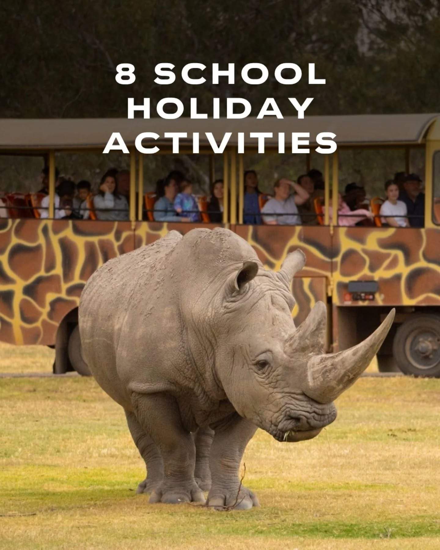 visitgeelongbellarine