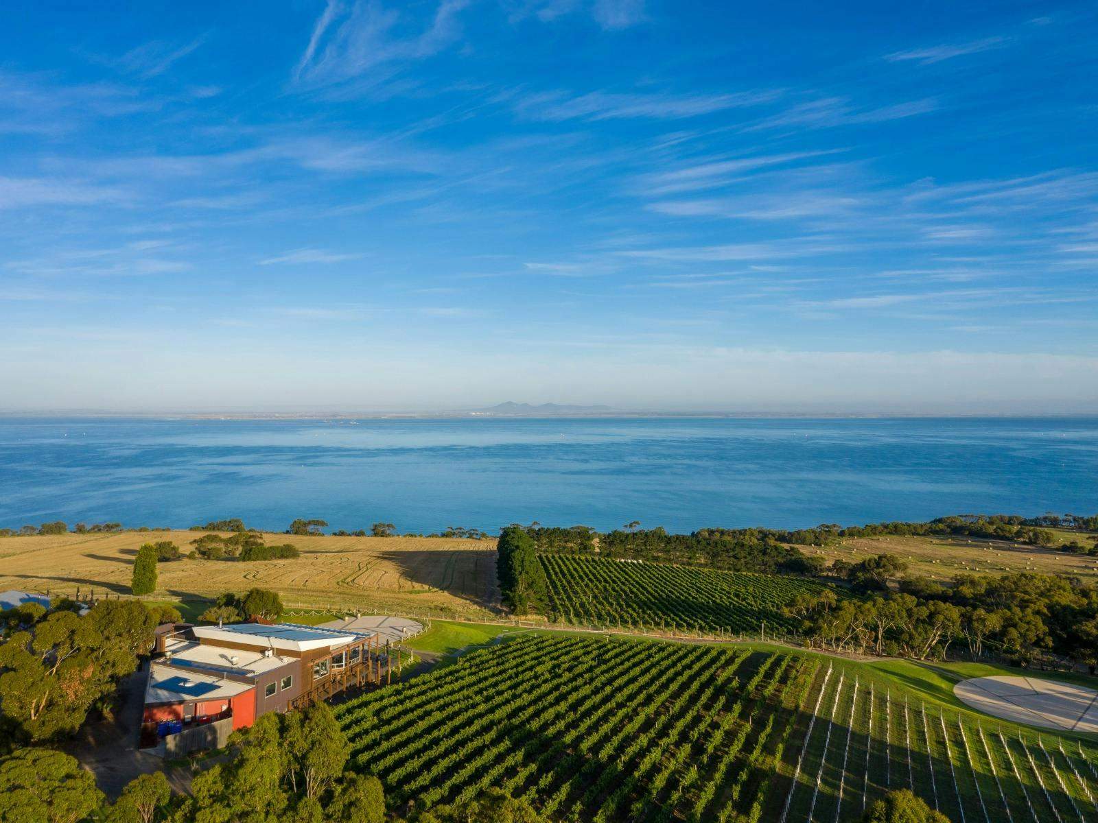 Jack Rabbit Vineyard | Visit Geelong and The Bellarine