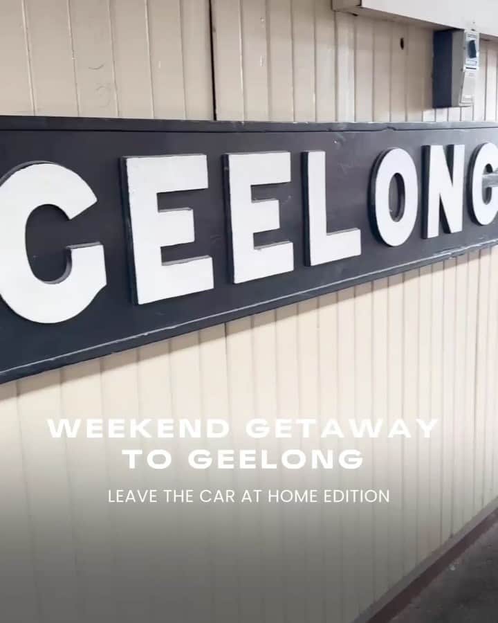 visitgeelongbellarine