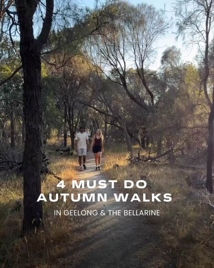 visitgeelongbellarine