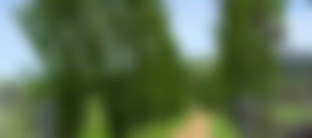 Aec8Ab0B455D2F03A1Bd94F8825D00A5