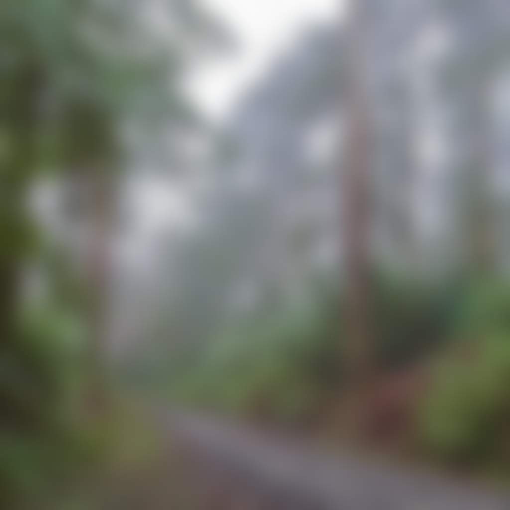 Misty rain on the Grand Ridge Road