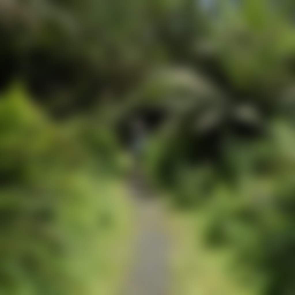 Woman walking along path in Mt Worth State Forest