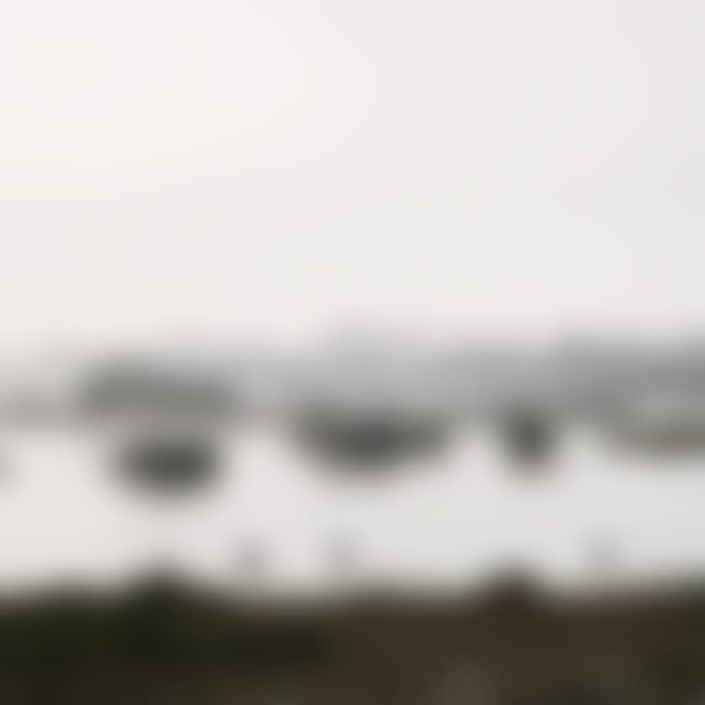 Birdlife at the Sale Wetlands Central Gippsland