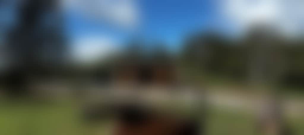 C67F373386A122F2De47B3268853F10C