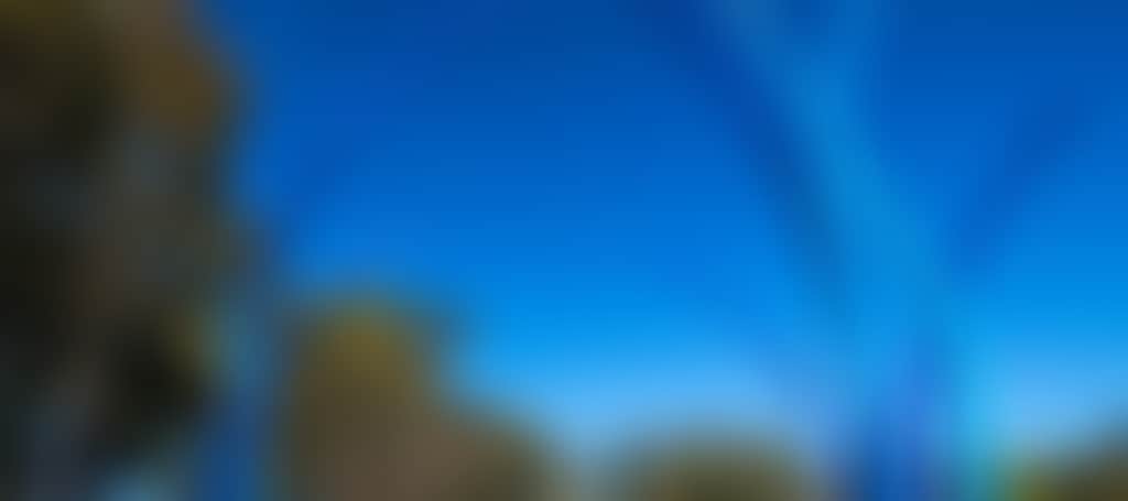 15F2F9930062779140956Fd850D1764B